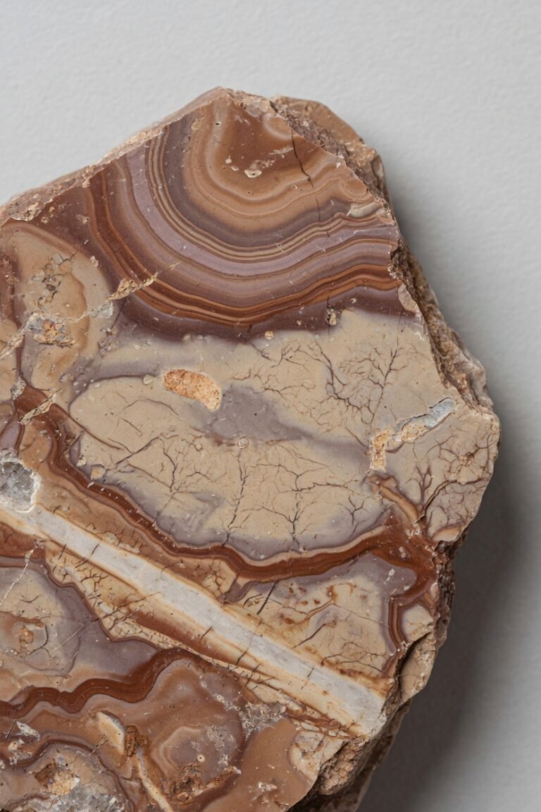 Picture Jasper