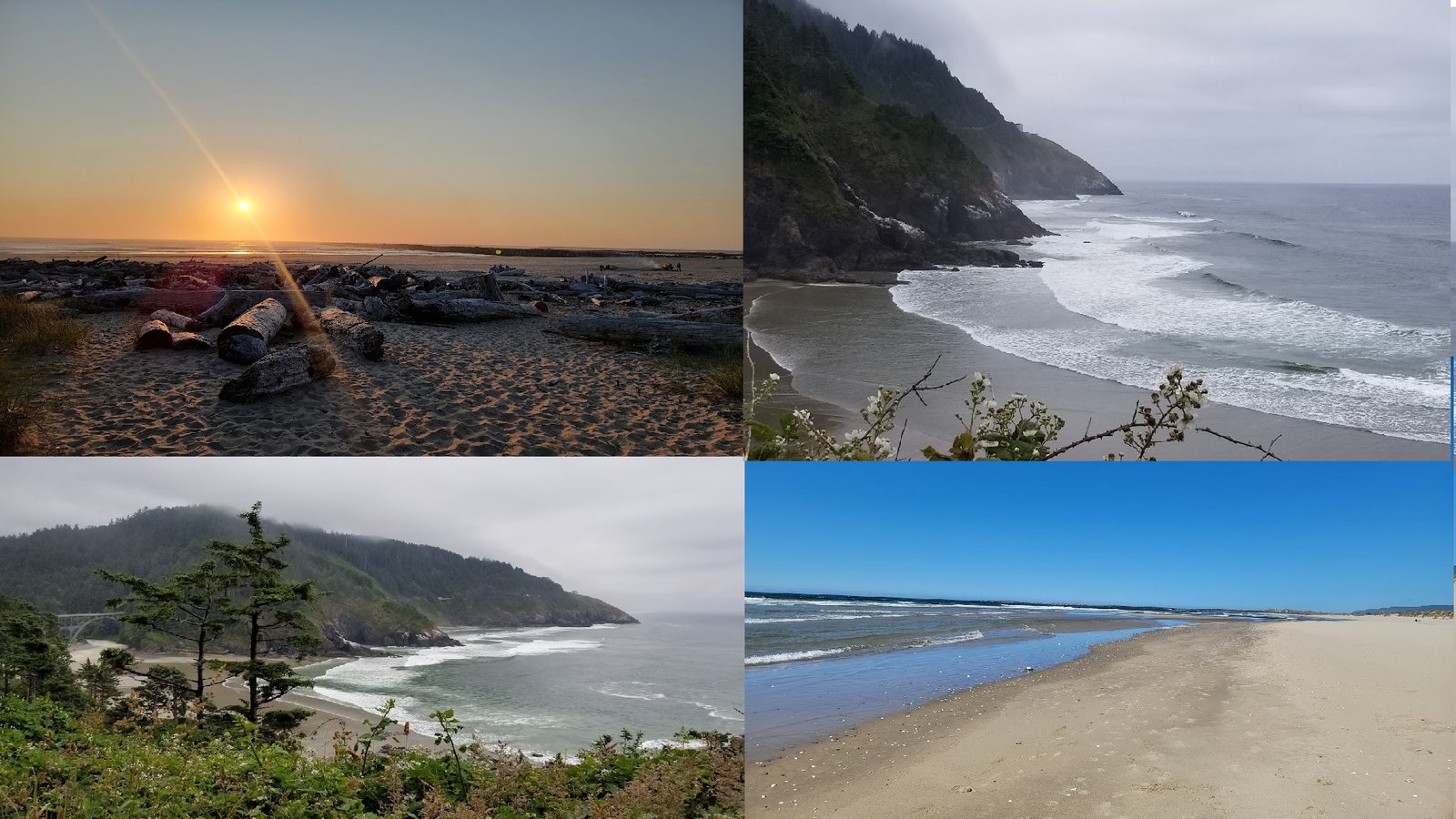 Hunting agates and jaspers on the Oregon coast on the retreat's coast day