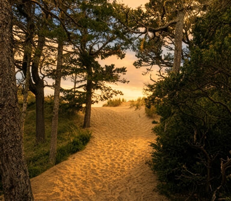 John Dellenback Dunes Trail