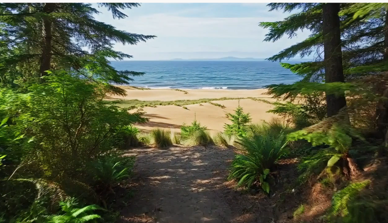 Tahkenitch Dunes Trail
